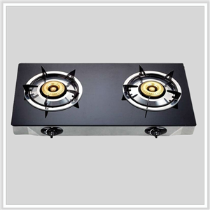 Bếp Gas Dương Teka GXL 2G